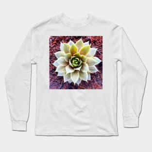 Succ It Long Sleeve T-Shirt